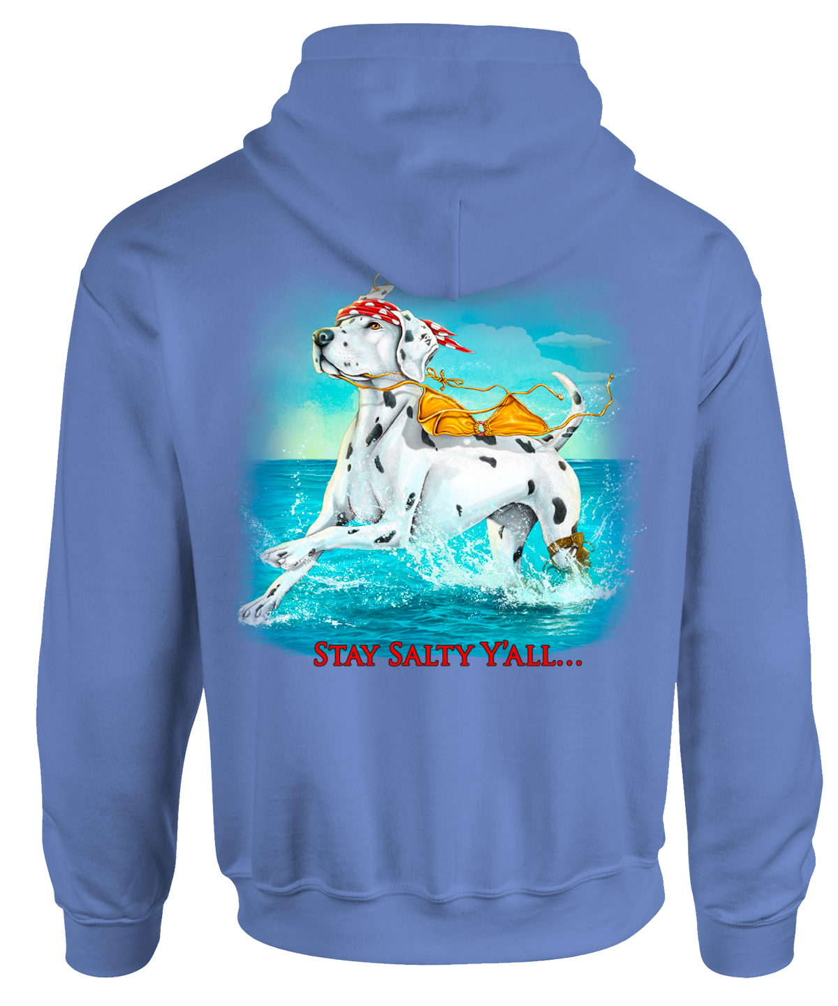 Stay Salty Y'All Hooded Sweater